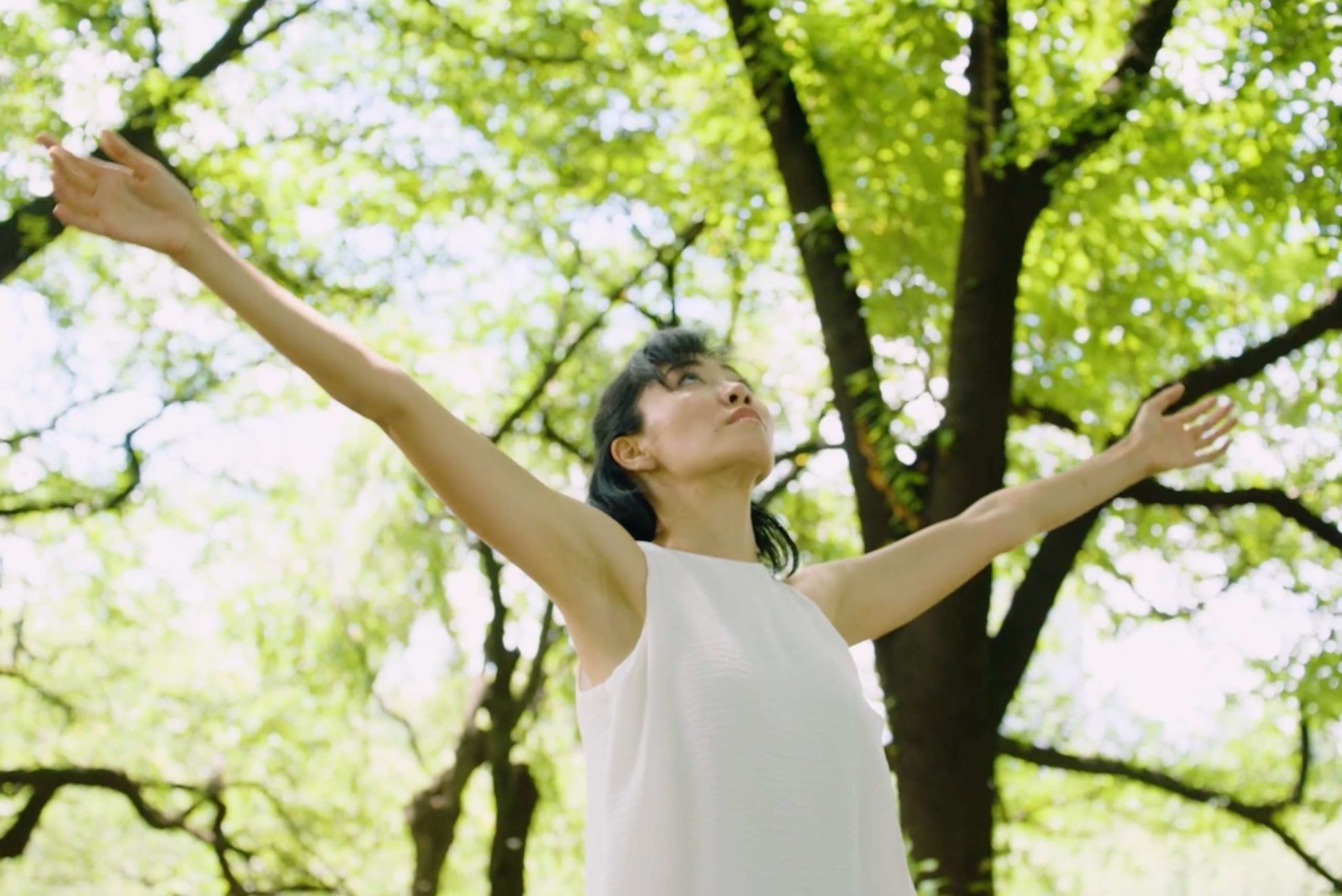 New Creation New Creation